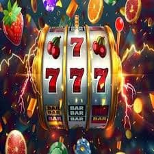 116bet login