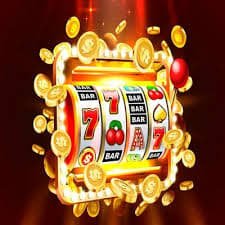 116bet login